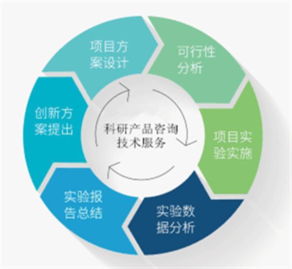 今天您官宣了吗?
